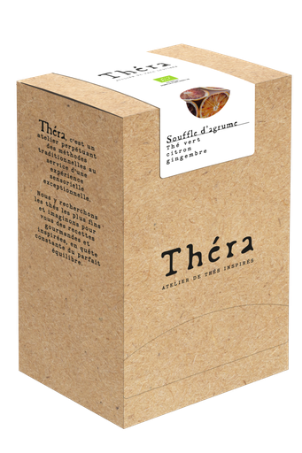 [355080] SOUFFLE D'AGRUME - TV Citron, gingembre Boîte 25 sachets THERA BIO